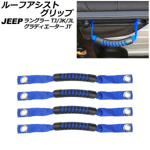 [tAVXgObv W[v OfBG[^[ JT 2021N11` u[ IbNXtH[hf/ABS F1Zbg(4) Roof Ast grip