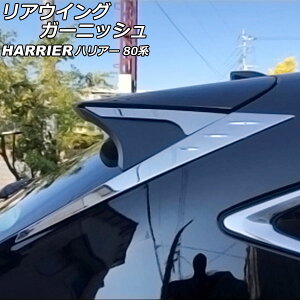 AECOK[jbV g^ nA[ 80n 2020N06` ʃVo[ XeX F1Zbg(4) AP-XT2073 Rear wing garnish