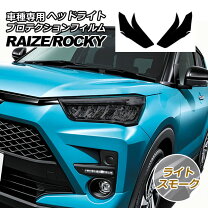 楽天市場】ライズ プロテクションフィルムの通販