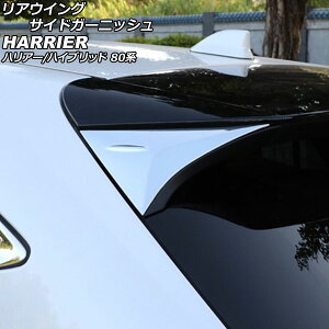 AECOTChK[jbV g^ nA[/nA[nCubh 80n 2020N06` ʃVo[ ABS F1Zbg(E) AP-XT665-KSI