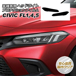 �v���e�N�V�����t�B���� �w�b�h���C�g �z���_ �V�r�b�N FL�n(FL1/FL4/FL5) 2021�N09���` �����N���A �����F1�Z�b�g(���E) AP-PFHL0045-CL02