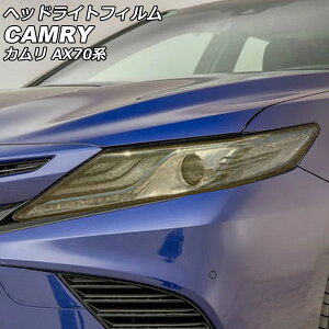 wbhCgtB g^ J AX70n(AXVH70/AXVH75) 2017N07` S[h TPU Ob^[^Cv F1Zbg(E) AP-XT2255