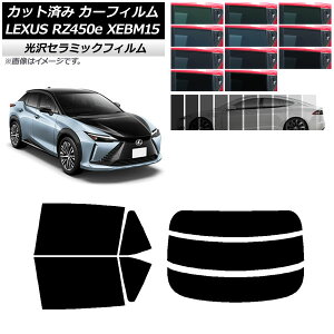 J[tB NTX RZ450e XEBM15 2023N03` AZbg() IR UV fM Iׂ13tBJ[ AP-WFIR0407-RDR3 Car film