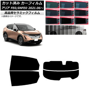 �J�[�t�B���� �j�b�T�� �A���A FE0/SNFE0 2021�N06���` ���A�Z�b�g(����) NC UV ���f�M �I�ׂ�9�t�B�����J���[ AP-WFNC0390-RDR2 Car film