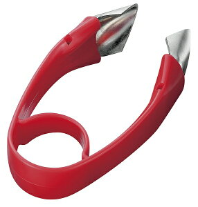 txW sR(w^) FV-601 Pico remove stem