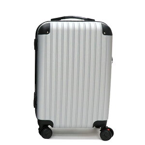 HIRO L[P[X Vo[ USD01 A^Cv STCY 40L ABS TSAbN srWlX carry case