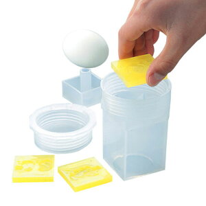 ^CK[NE(Tiger Crown) PPGbOtH[h |vs 6 lpł܂ 2264 eggford