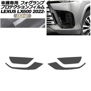 �v���e�N�V�����t�B���� �t�H�O�����v ���N�T�X LX600 EXECUTIVE/OFFROAD VJA310W 2022�N01���` �X���[�N �����F1�Z�b�g(���E) AP-PFFL0005-SM01 protection film fog lamp