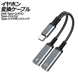 �C���z���ϊ��P�[�u�� �O���[ USB Type-C(�I�X)����Type-C(���X)��Type-C�C���z���W���b�N�ɕϊ��I AP-UJ1010-GY