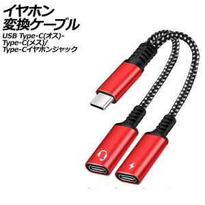 �C���z���ϊ��P�[�u�� ���b�h USB Type-C(�I�X)����Type-C(���X)��Type-C�C���z���W���b�N�ɕϊ��I AP-UJ1010-RD