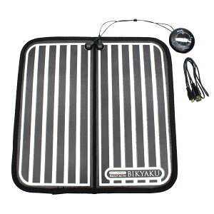 HIRO EMSLIMMER BIKYAKU(pEMS) }bgɑf̂ΊyXEȒPGNTTCYI ES-BK001 for feet