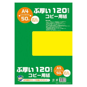 AsJ Ԍ120gsmRs[p A4 PPC120A4(24247) Thick copy paper