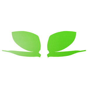 hA~[XebJ[ g^ ANA MXPKn 2021N07` }bg FO[v2 F1Zbg(E) AP-PF2CFMT0121 Door mirror sticker