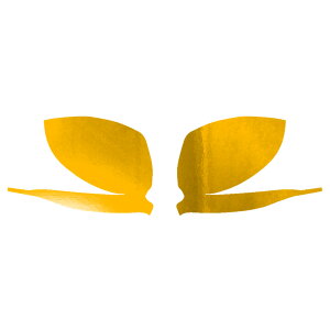 hA~[XebJ[ g^ ANA MXPKn 2021N07` N[ Iׂ20J[ F1Zbg(E) AP-PF2CRM0121 Door mirror sticker