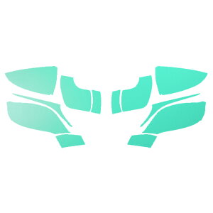 hA~[XebJ[ NTX LC500/LC500h URZ100/GWZ100 2017N03` }bg FO[v2 F1Zbg(E) AP-PF2CFMT0169 Door mirror sticker