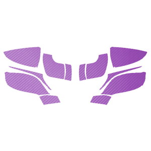 hA~[XebJ[ NTX LC500 Ro[`u URZ100 2020N07` J[{ Iׂ20J[ F1Zbg(E) AP-PF2CF0174 Door mirror sticker