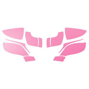 hA~[XebJ[ NTX LC500 Ro[`u URZ100 2020N07` }bg FO[v1 F1Zbg(E) AP-PF2CFMT0174 Door mirror sticker