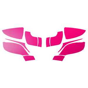 hA~[XebJ[ NTX LC500 Ro[`u URZ100 2020N07` }bg FO[v2 F1Zbg(E) AP-PF2CFMT0174 Door mirror sticker