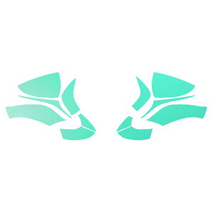 hA~[XebJ[ NTX RC300/RC300h/RC350 C10n  2018N10` }bg FO[v2 F1Zbg(E) AP-PF2CFMT0207 Door mirror sticker