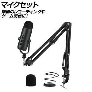 �}�C�N�Z�b�g �u���b�N �C���^�[�l�b�g�z�M�⃌�R�[�f�B���O�ɍœK�I AP-UJ1053