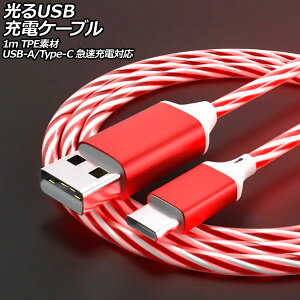 USB[dP[u bh 1m TPEf USB-A/USB Type-C }[dΉ AP-UJ1055-RD luminous charging cable