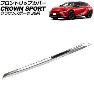 tgbvJo[ g^ NEX|[c 30n fX^GAԕs 2023N11` ʃVo[ XeX AP-XT2516 Front trip cover