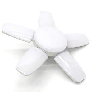 HIRO V[OCg 5H F ܂肽Ŏ[\ FS-581 ceiling light