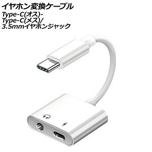 CzϊP[u zCg Type-C(IX)Type-C(X)3.5mmCzWbNɕϊI AP-UJ1086 earphone conversion cable