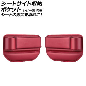 V[gTCh[|Pbg bh U[ ėp V[ǧԂ[ɁI F1Zbg(2) AP-AS1051-RD Seat side storage pocket