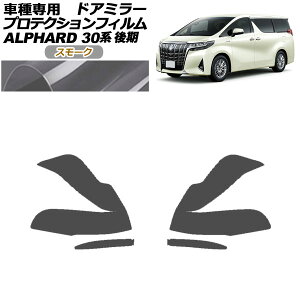 veNVtB hA~[ g^ At@[h 30n  2018N01`2023N05 X[N F1Zbg(E) AP-PF0235-SM01 Protection film door mirror