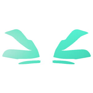 hA~[XebJ[ g^ At@[h 30n  2018N01`2023N05 }bg FO[v2 F1Zbg(E) AP-PF2CFMT0235 Door mirror sticker