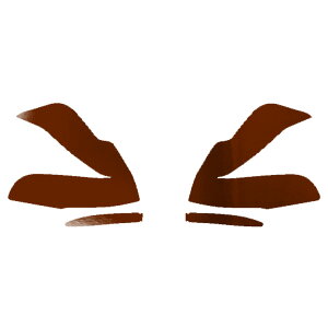 hA~[XebJ[ g^ Ft@CA 30n  2018N01`2023N05 N[ Iׂ20J[ F1Zbg(E) AP-PF2CRM0248 Door mirror sticker