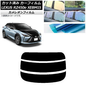 J[tB NTX RZ450e XEBM15 2023N03` AKX() JI Iׂ3tBJ[ AP-WFCM0407-R3 Car film