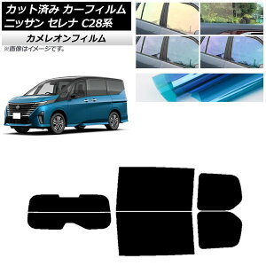 J[tB Y Zi C28n (C28/NC28/FC28/FNC28/GC28/GFC28) 2022N12` AZbg() JI Iׂ3tBJ[ AP-WFCM0408-RDR2 Car film