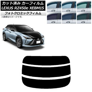 J[tB NTX RZ450e XEBM15 2023N03` ubN7535 AKX() tHgN~bN AP-WFPM0407-R3 Car film