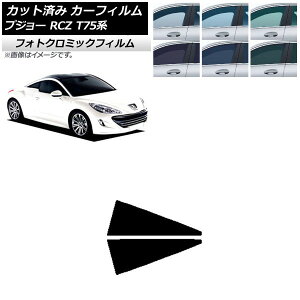 �J�[�t�B���� �v�W���[ RCZ T75�n 2010�N07���`2015�N09�� �u���[7025 ���A�����Z�b�g �t�H�g�N���~�b�N AP-WFPM0434-RD Car film