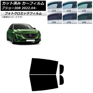 J[tB vW[ 308 P51/52n 2022N04` O[7520 AhAZbg tHgN~bN AP-WFPM0442-RD Car film