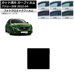 J[tB vW[ 308 P51/52n 2022N04` u[7025 T[t tHgN~bN AP-WFPM0442-S Car film