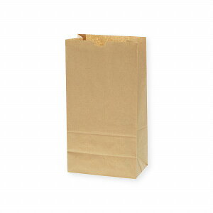 VW}(Shimojima) p Nn NO.6 F1pbN(100) 004010600(01782) Square bottom bag plain unbleached