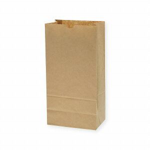 VW}(Shimojima) p Nn NO.12 F1pbN(100) 004011200(01784) Square bottom bag plain unbleached