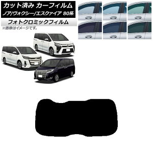 J[tB mA/HNV[/GXN@CA 80n 2014N01` O[7520 AKX(1^) tHgN~bN AP-WFPM0019-R1 Car film