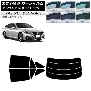 J[tB g^ NE 220n 2018N06` O[7520 AZbg() tHgN~bN AP-WFPM0078-RDR4 Car film