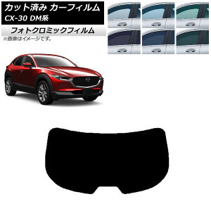 J[tB }c_ CX-30 DMn 2019N10` O[7520 AKX(1^) tHgN~bN AP-WFPM0176-R1 Car film
