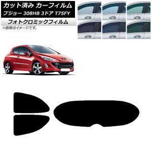 J[tB vW[ 308 T75FY 3hA 2008N`2014N O[7520 AZbg(1^) tHgN~bN AP-WFPM0352-RDR1 Car film