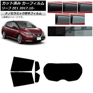 J[tB Y [t ZE1 2017N10` AZbg(1^)  UV fM Iׂ5tBJ[ AP-WF4N0123-RDR1 Car film