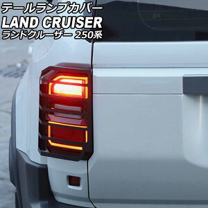 e[vJo[ g^ hN[U[250 250n 2024N04` ubN J[{X`[ F1Zbg(2) AP-RF344 Tail lamp cover