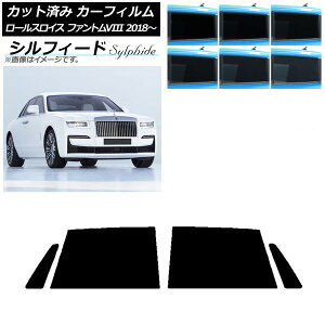 J[tB [XCX t@gVIII 2018N` AhAZbg VtB[h Iׂ6tBJ[ AP-WFSC0368-RD Car film