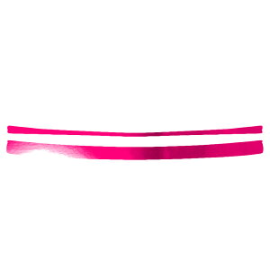 AXebvXebJ[ Y m[g E13n  2024N01` N[ Iׂ20J[ F1Zbg(2) AP-PF2CRM0302 Rear step sticker