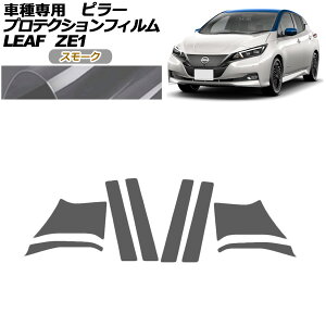 veNVtB s[ Y [t ZE1^  2017N10` X[N F1Zbg(8) AP-PF0288-SM01 protection film pillar