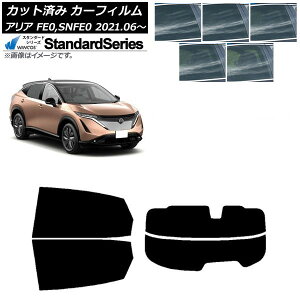 J[tB Y AA FE0/SNFE0 2021N06` AZbg() WINCOS X^_[h Iׂ5tBJ[ AP-WFGY0390-RDR2 Car film